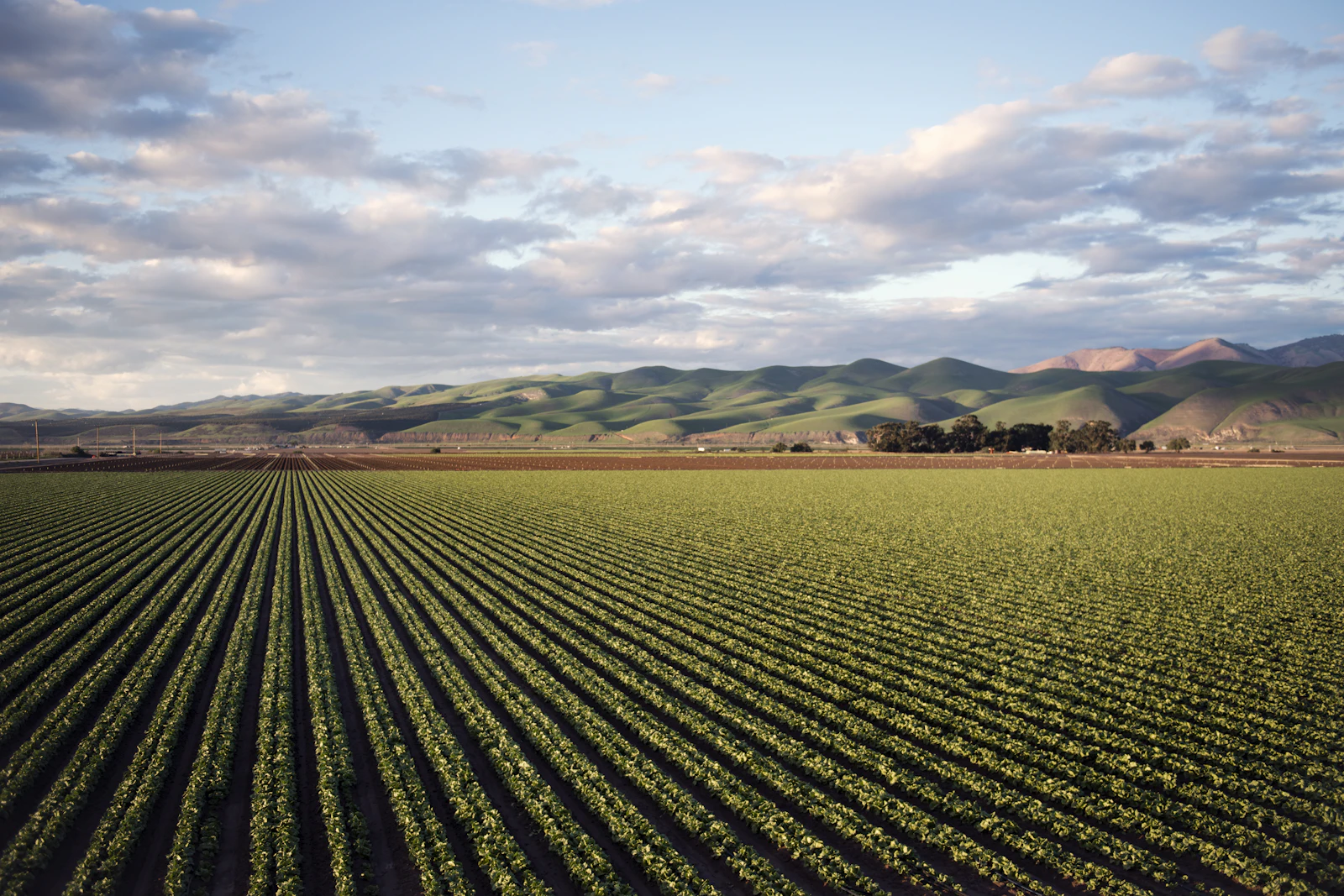 California oil field rolling hills