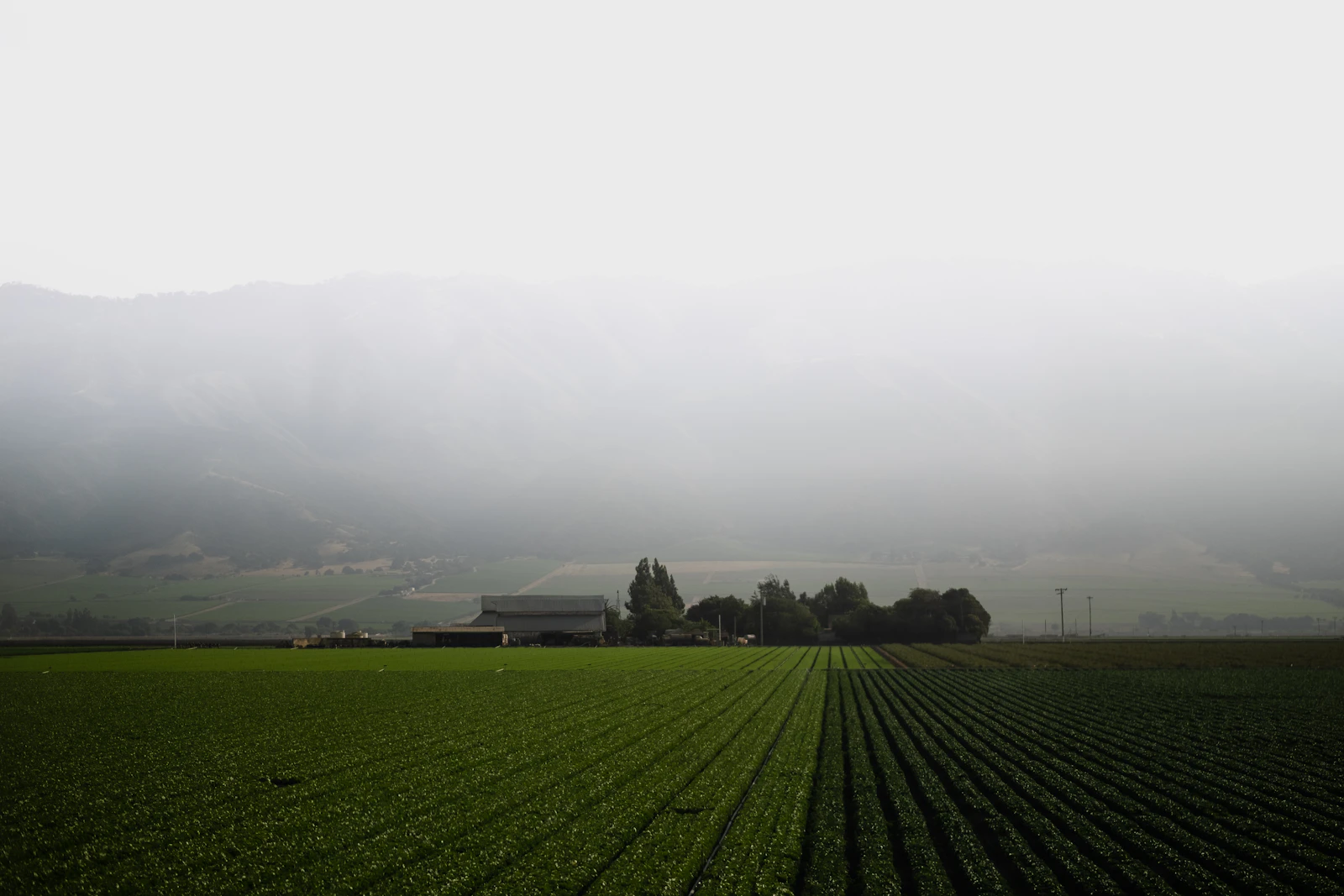 Central Valley landscape near Bakersfield