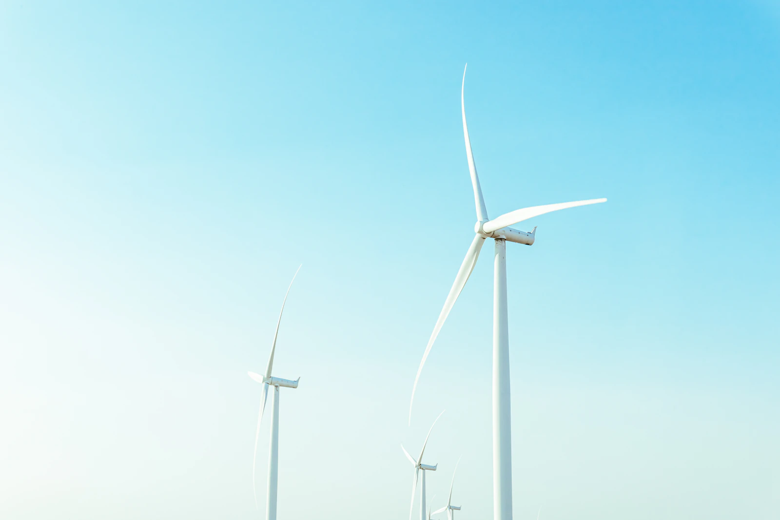 Row of wind turbines