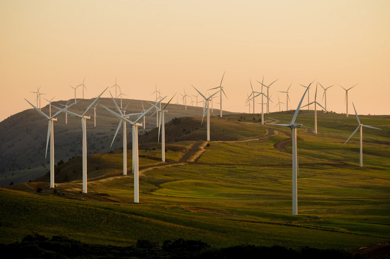 Wind turbines on the Tehachapi pass near Bakersfield