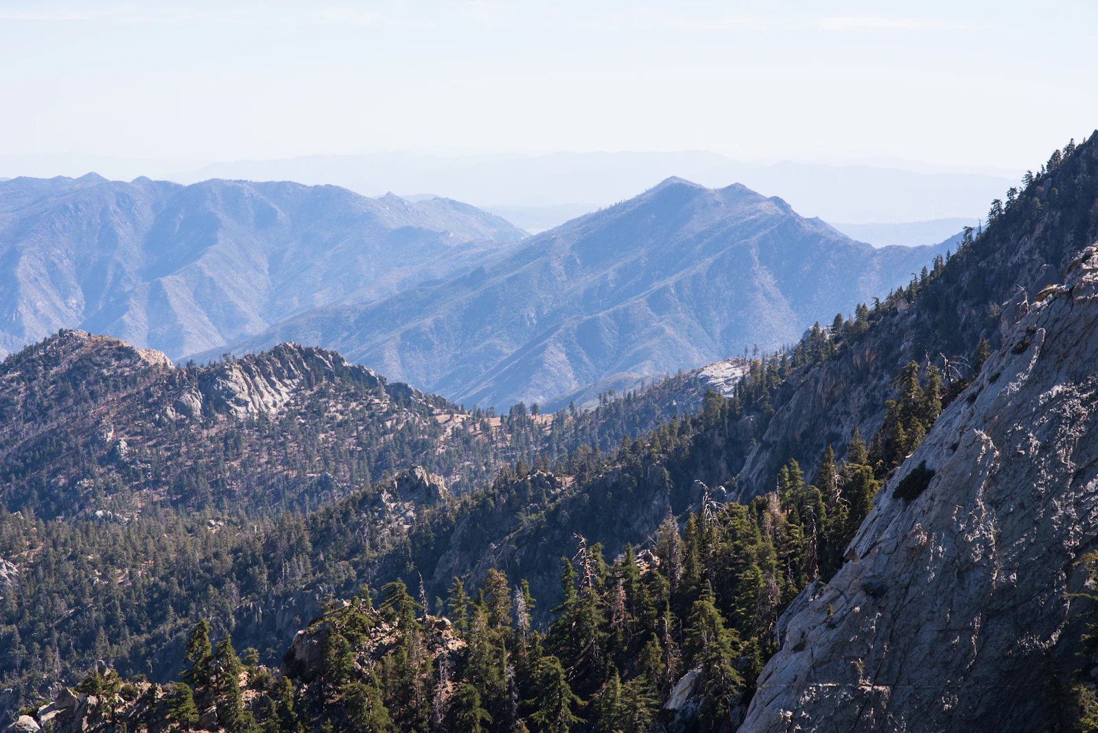 Aerial forest near Palm Springs