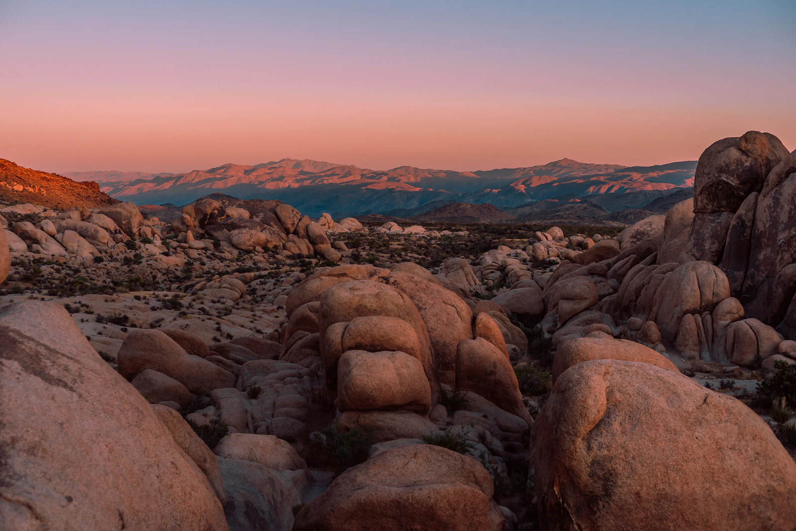 Joshua Tree desert near Palm Springs