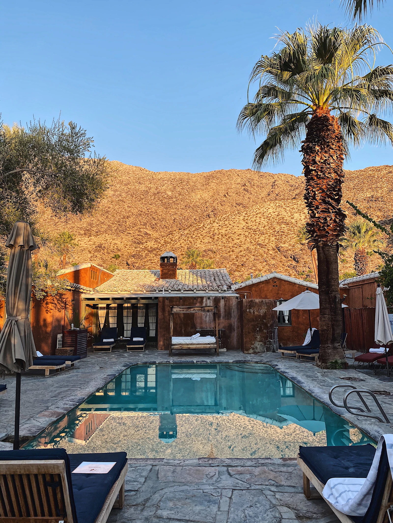 Palm Springs pool lounge chairs