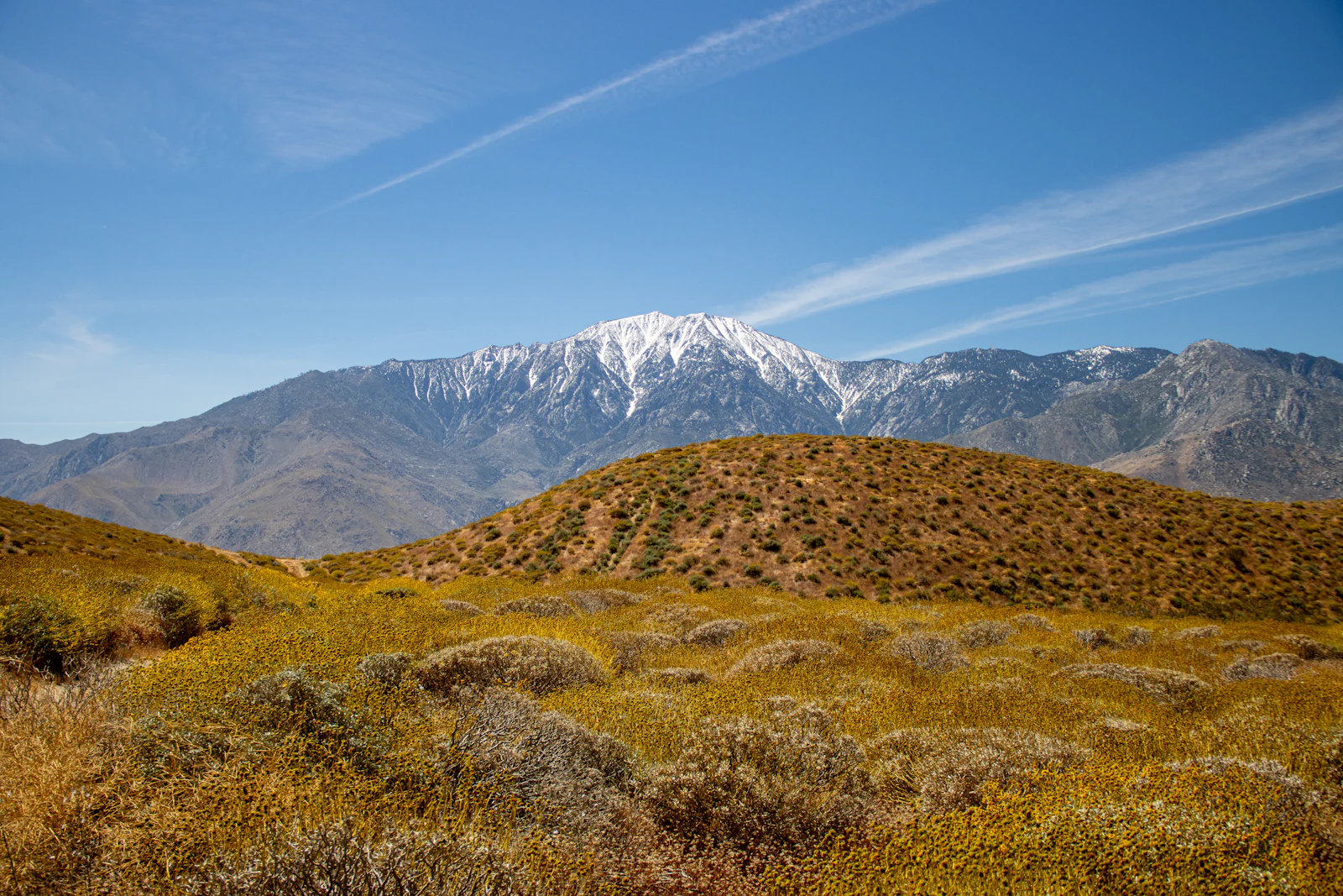 San Jacinto mountains over Palm Springs