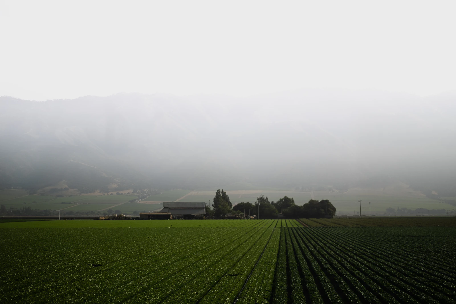 Misty Sacramento Delta and Central Valley