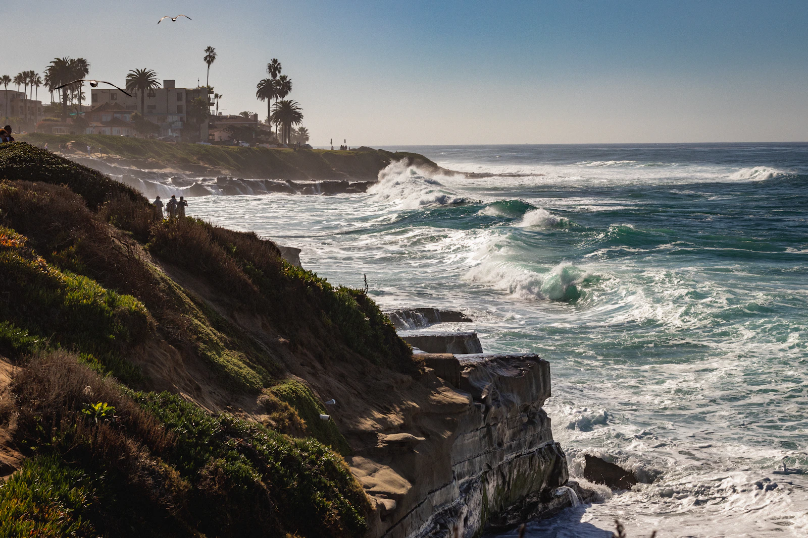 La Jolla coastline in San Diego County
